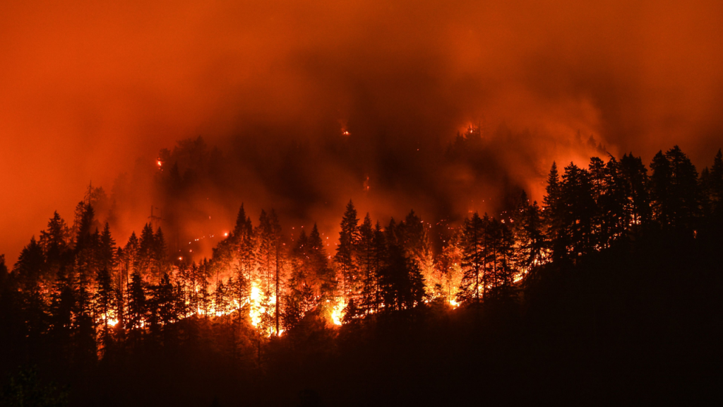 California Megafires Change Wildlife Survival Strategies Over a Long Period!