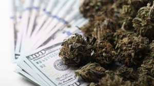 Oklahoma City Tops America's Weed Purchase Charts: Blazing Trails!