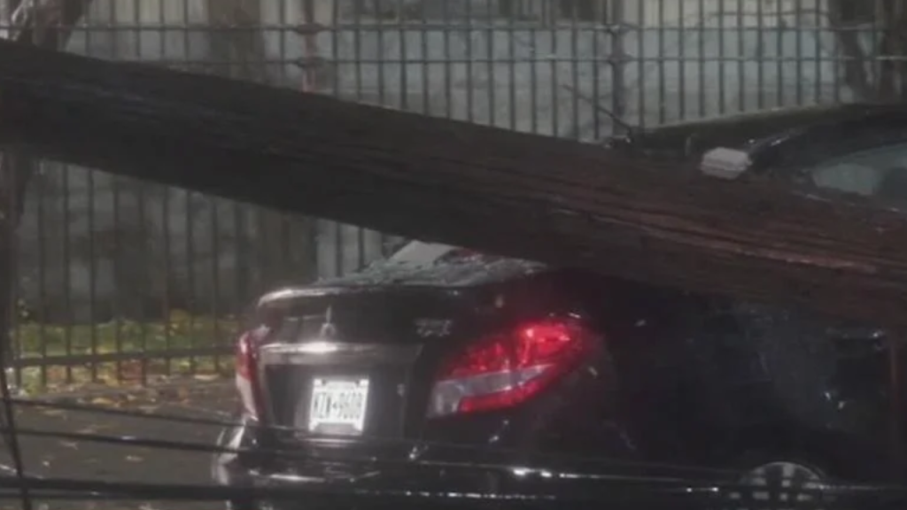 Oversize Tree Crushes Automobile Takes out Power Lines for Blocks in Flatbush, Brooklyn!