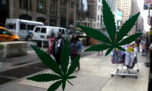 New York Marijuana Laws You Definitely Need to Know!